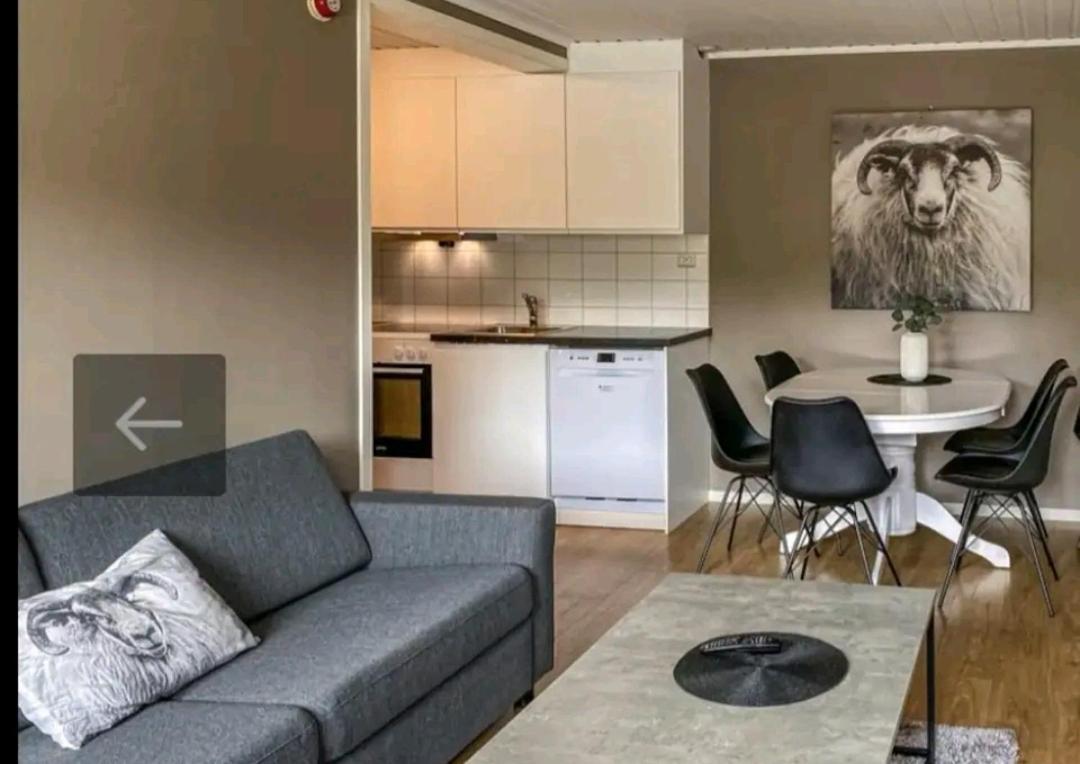 Bjorli Bovervegen 19 Appartment Nr 9 מראה חיצוני תמונה
